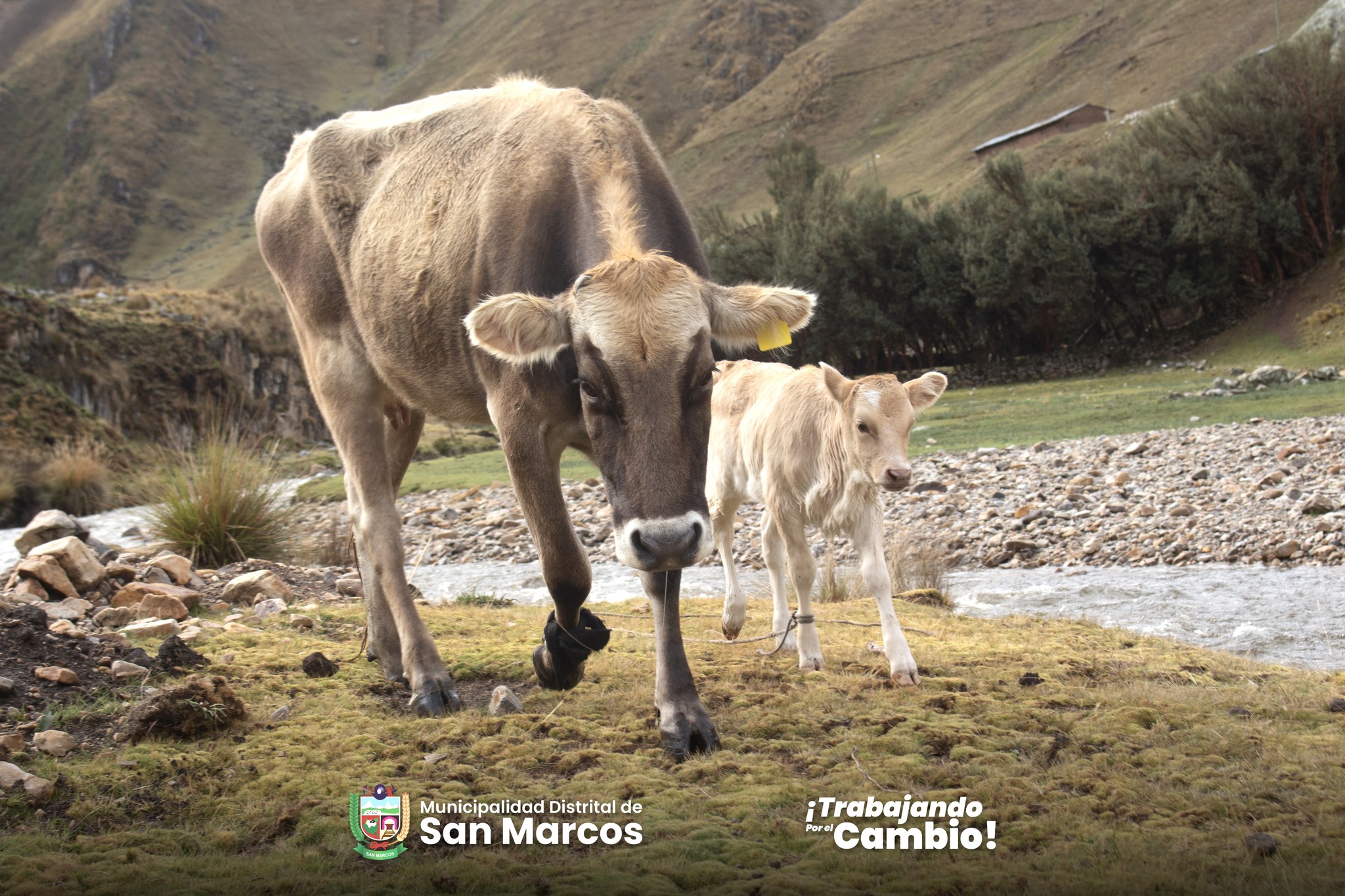 Top Camper Trailer Towing Tips